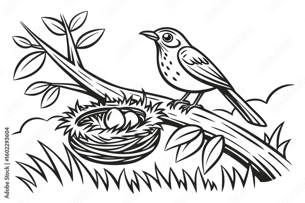 Poster nest building activity of a bird with eggs amidst greenery in a tranquil natural setting during dayl
