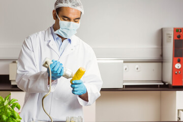 Fototapeta premium Male lab technician inspecting corn ear with scanner on lab bench near vials, copy space