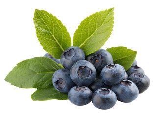 Blueberries with leaves isolated on transparent background