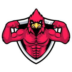 strong cardinal bird muscle poses
