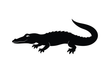 Fototapeta premium crocodile isolated on white