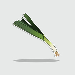 Leek vector illustration isolated on gray background