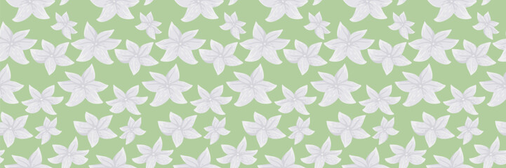 Seamless vector floral pattern with  buttercup flowers on a pastel mint, green background. Light, delicate, and feminine design, perfect for fabrics, packaging, wallpapers, stationery, branding