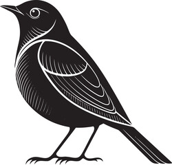 Obraz premium Black bird with white accents illustration graphic
