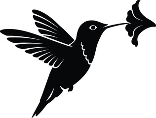 Obraz premium Action of Hummingbird, Nature, Vector Art, Black Silhouette