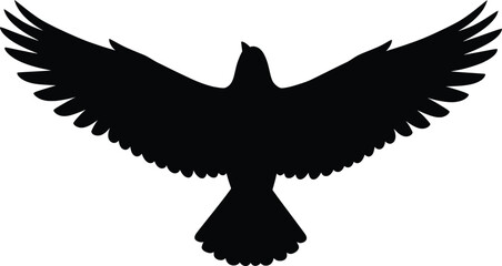 Obraz premium Dynamic Vector Birds in Flight - Nature's Graceful Creatures