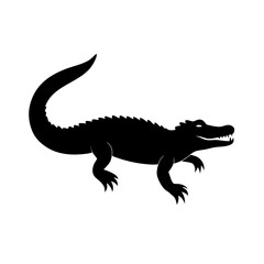 crocodile isolated on white