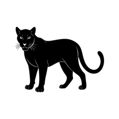 black cat vector illustration