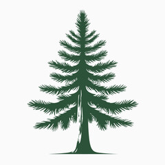 Fototapeta premium Vector Illustration of Pine Tree in Naturalistic Style with Green Color