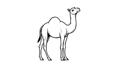 Fototapeta premium Outlined vector camel illustration for desert themes, coloring pages, educational content or cultural decor