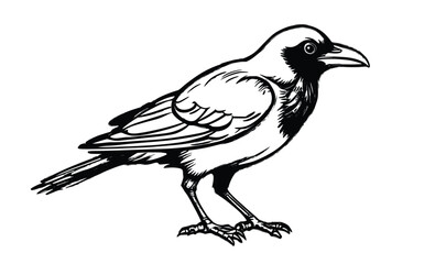 Detailed black and white crow vector sketch perfect for nature illustrations, logos, study materials, or tattoos