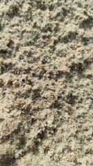 Wet Sand Texture Close-Up Revealing Intricate Details and Natural Patterns Along the Shore