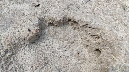 Wet Sand Texture With Detailed Features on a Beach Background During Low Tide