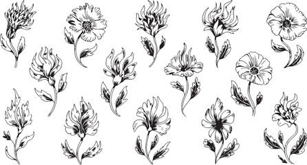 Black and White Floral Illustrations of Various Flowers