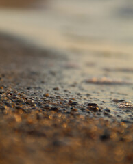 morning waves on the beach
