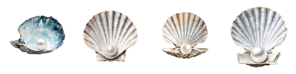 Obraz premium Pearl in Seashell Collection: Elegant Jewelry Gift and Marine Treasure of the Sea