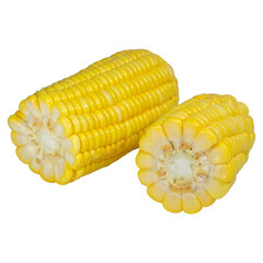 Yellow raw corn broken in half into two pieces on white background.