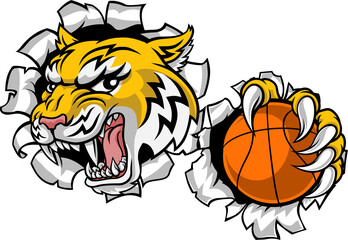 Wildcat Bobcat Bobcats Wildcats Basketball Mascot