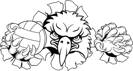 Eagle Hawk Bird Volleyball Volley Ball Mascot