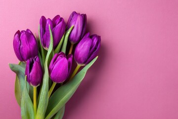 Fototapeta premium Versatile arrangement of purple tulips for International Women s Day and Mother s Day Background with ample copy space