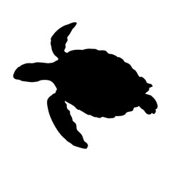 Green sea turtle silhouette. Realistic vector animal