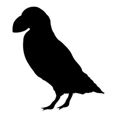 Puffin bird silhouette. Realistic vector animal