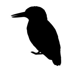 Kingfisher silhouette. Realistic vector animal