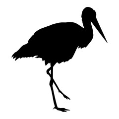 Stork silhouette. Realistic vector animal