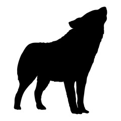 Wolf silhouette. Realistic vector animal