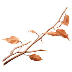 Fototapeta premium Dry brown tree branch with leaves isolated on white background