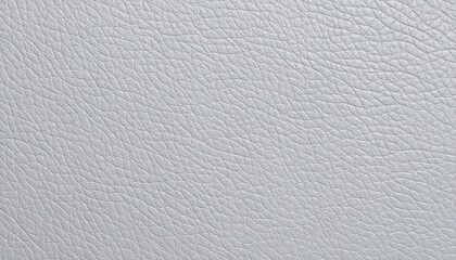 Light gray leather texture