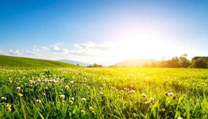 Sunny meadow with mountains