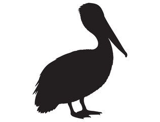  PELICAN BIRD SILHOUETTE