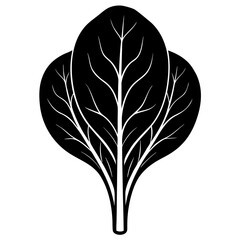 Spinach  vector illustration perfect for posters, icon, t-shirts, cards, wall art prints and ai design.
