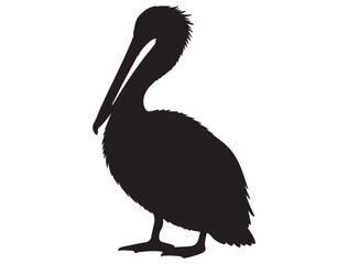  PELICAN BIRD SILHOUETTE
