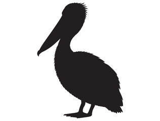  PELICAN BIRD SILHOUETTE