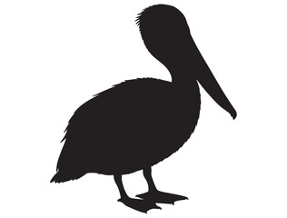  PELICAN BIRD SILHOUETTE