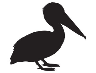  PELICAN BIRD SILHOUETTE