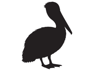  PELICAN BIRD SILHOUETTE