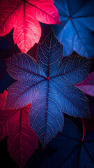 A vibrant arrangement of colorful leaves in shades of blue and red.