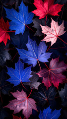 A vibrant arrangement of colorful leaves on a dark background.