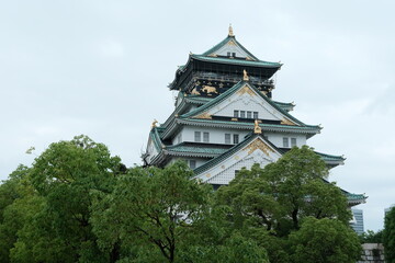Fototapeta premium Osaka park Japan