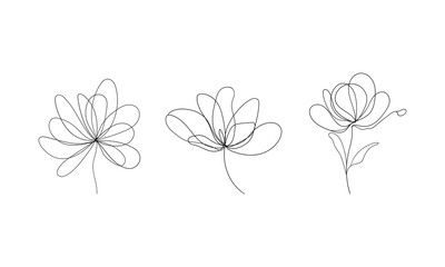 Delicate Line Flower Collection. A minimalistic set of hand-drawn floral illustrations in elegant one-line style with soft abstract backgrounds.