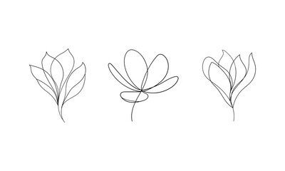 Abstract Line Buds Trio. a modern minimalistic illustration of three blooming buds in a clean continuous line, perfect for contemporary floral designs.