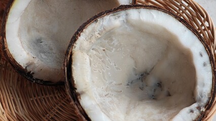 Rotten coconut fruit with brown shell.