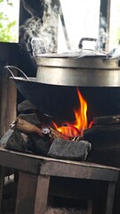 Firewood in the solid fuel boiler. Flame.