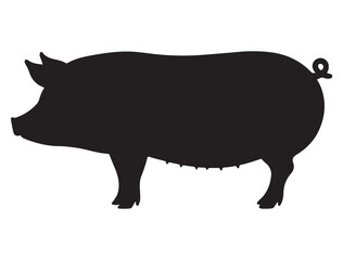PIG SILHOUETTE