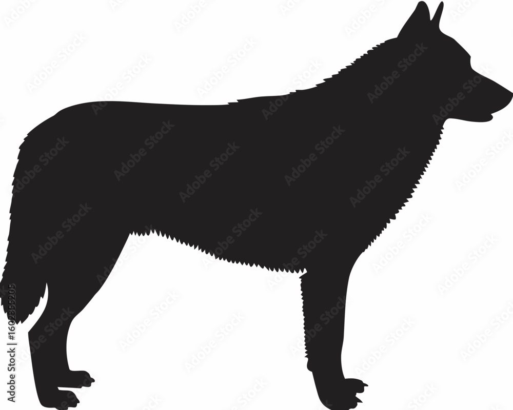 Poster silhouette of a standing wolf with thick fur and pointed ears in a side profile against white backgr