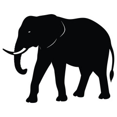Fototapeta premium elephant vector illustration