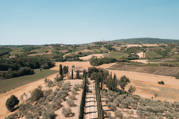 Cypress trees leading to farmhouse in tuscany with san gimignano in background